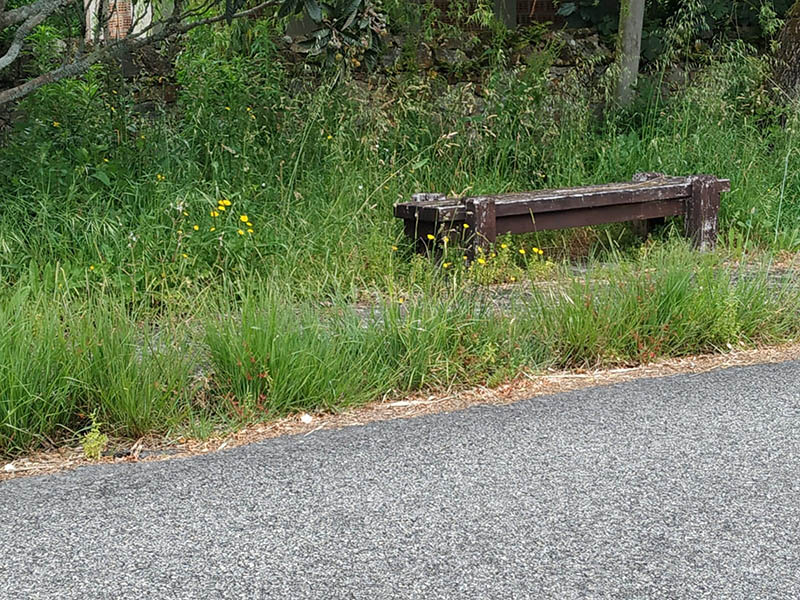 IMG-20190520-WA0013.jpg