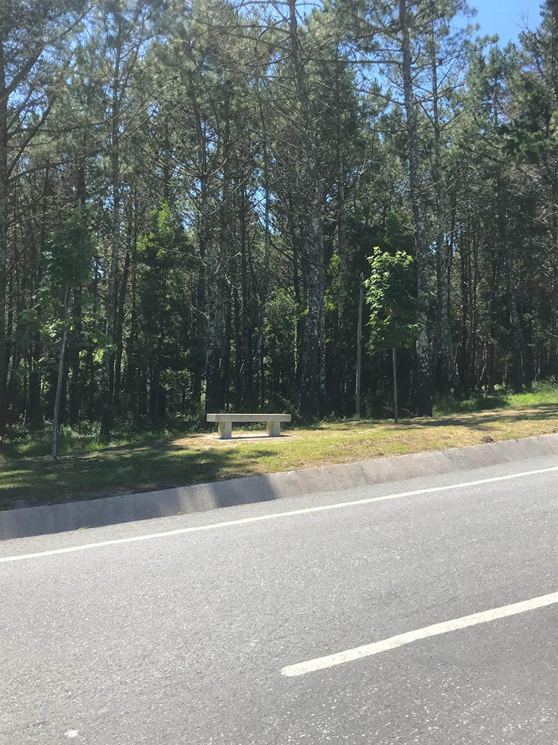 IMG-20190521-WA0008.jpg