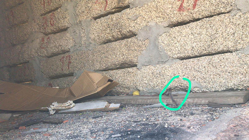 IMG-20190521-WA0016.jpg