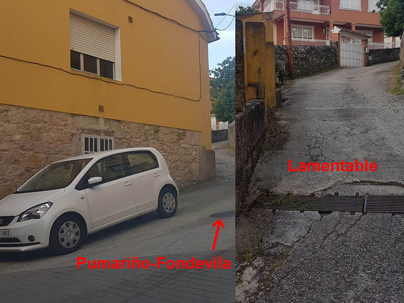 pumarino.jpg